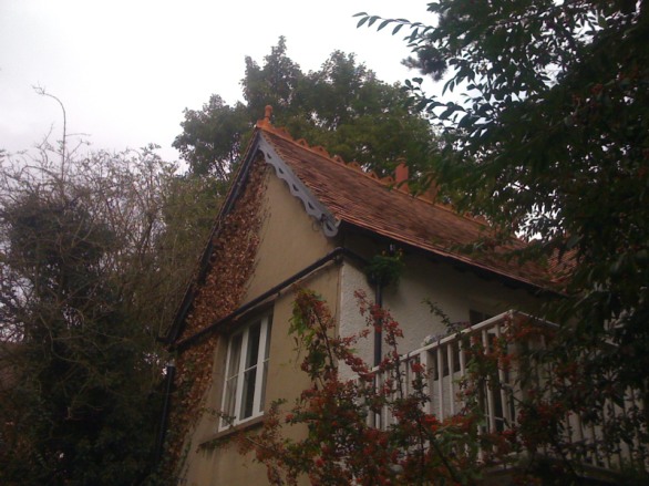 Timber lodges, photo 1